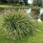 別荘 Nad Stawem