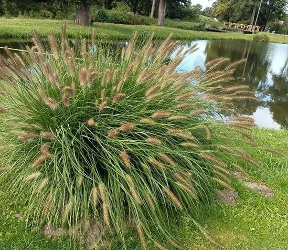 Casa vacanze Nad Stawem