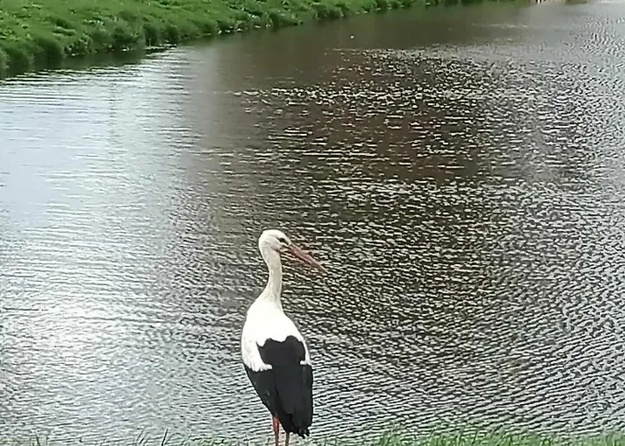 Сasa de vacaciones Nad Stawem